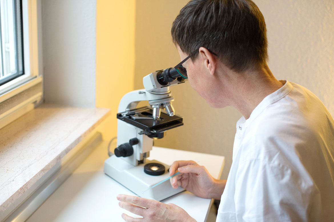 Dr. Klaassen schaut durchs Mikroskop